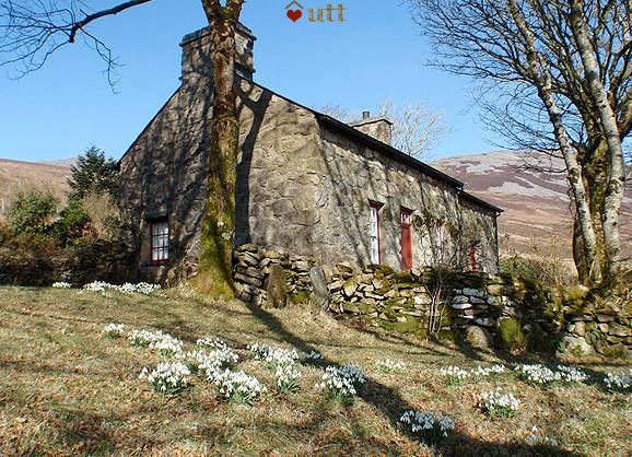 Yr Hen Fynydd Under The Thatch Secluded