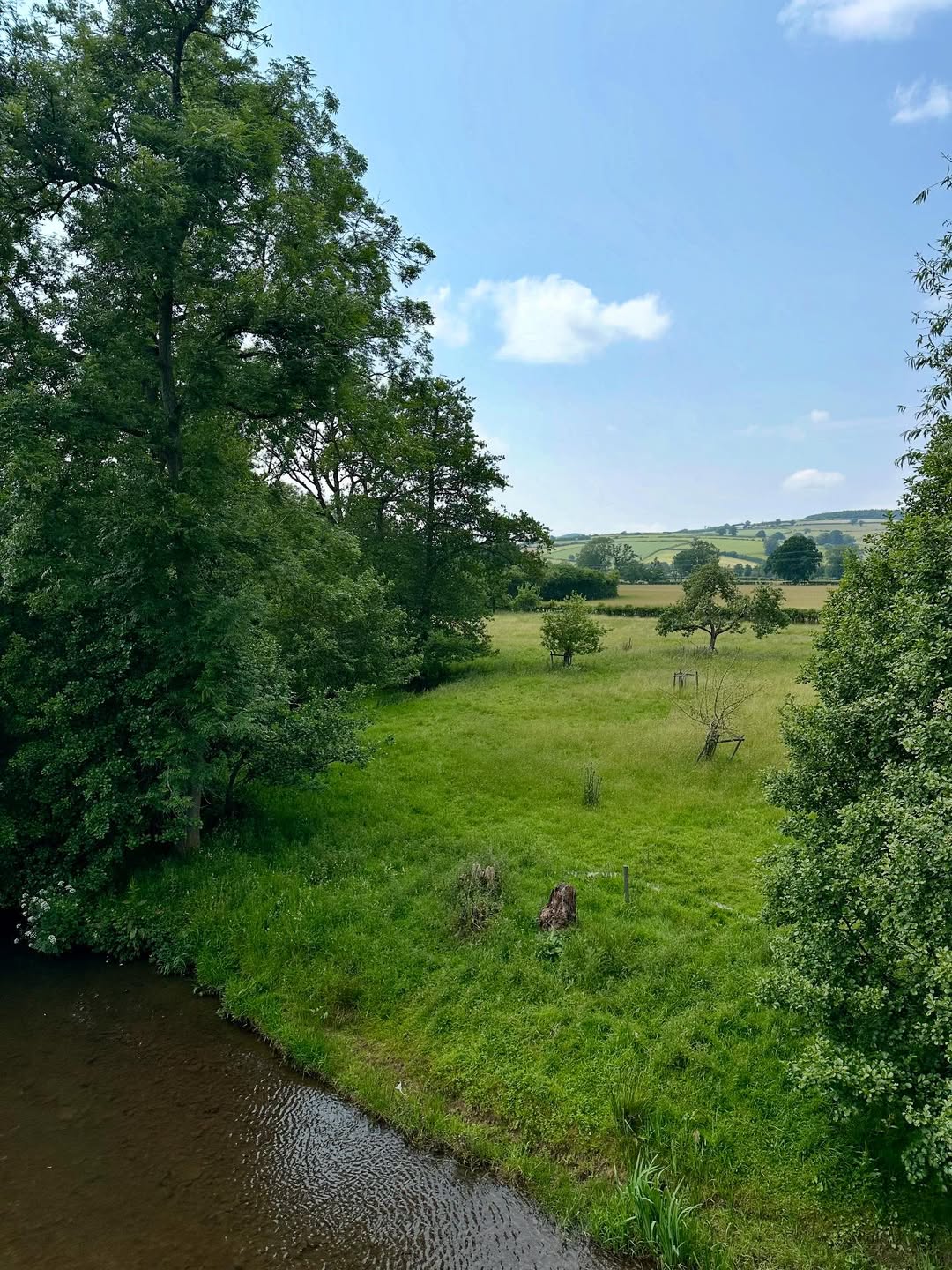 Shropshire Long Let