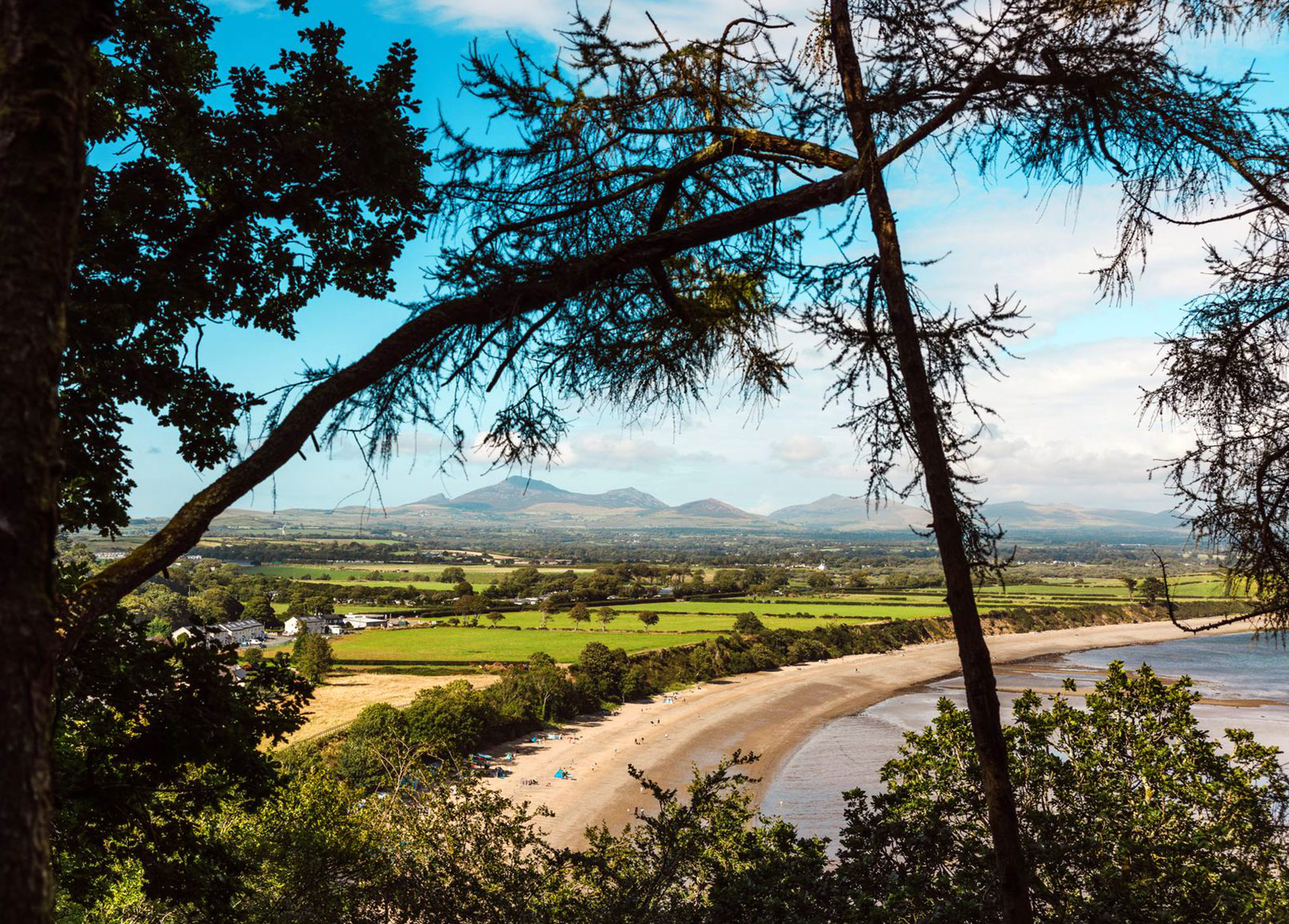 *New* - Bryn Teifi