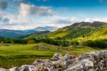 Cader Uchaf