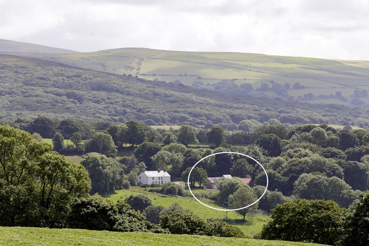 *NEW* Nantwen
