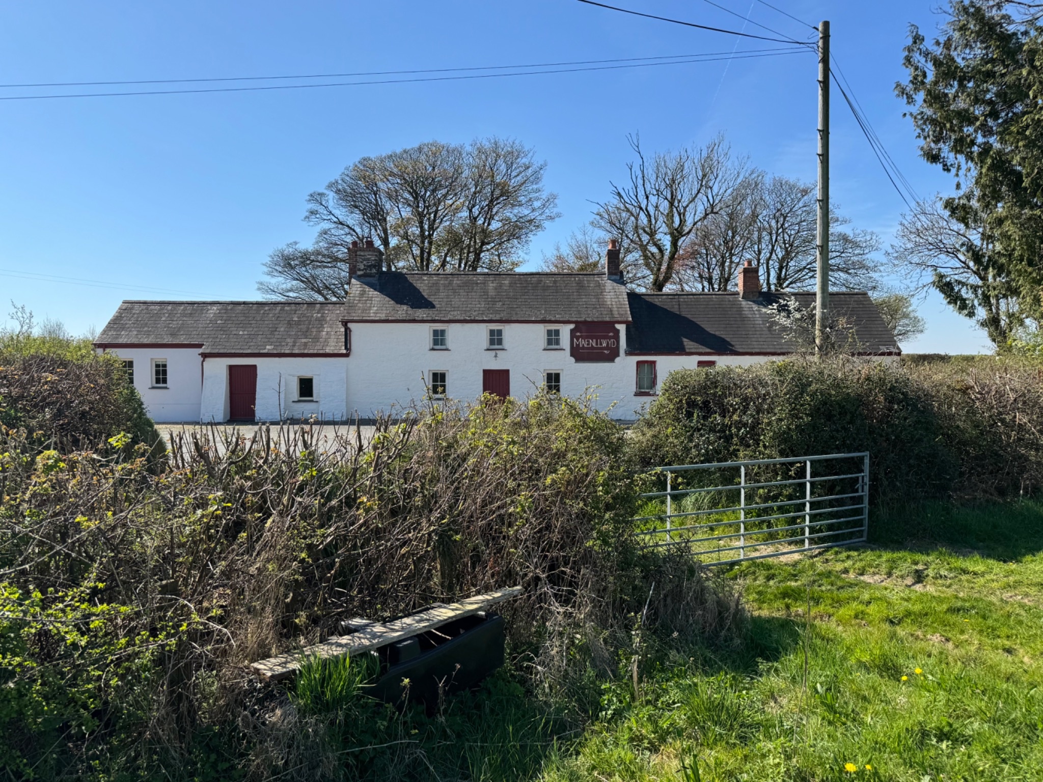 *NEW* Maenllwyd