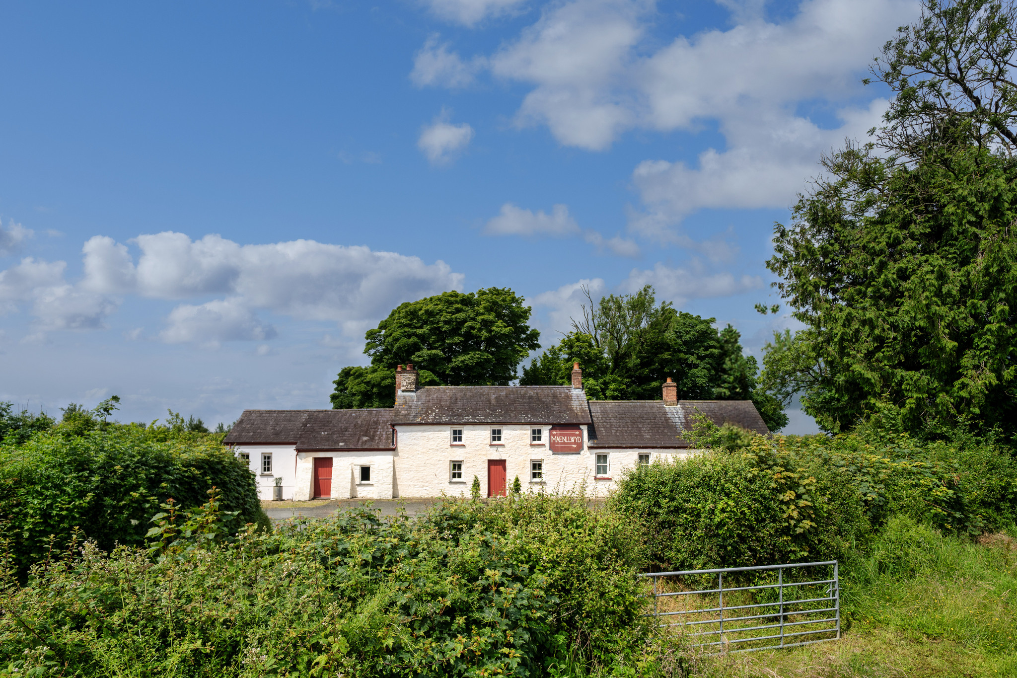 *NEW* Maenllwyd