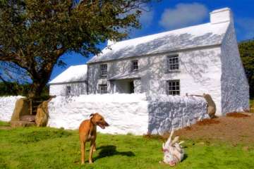 Bwthyn Trehilyn Under The Thatch Family Cottages