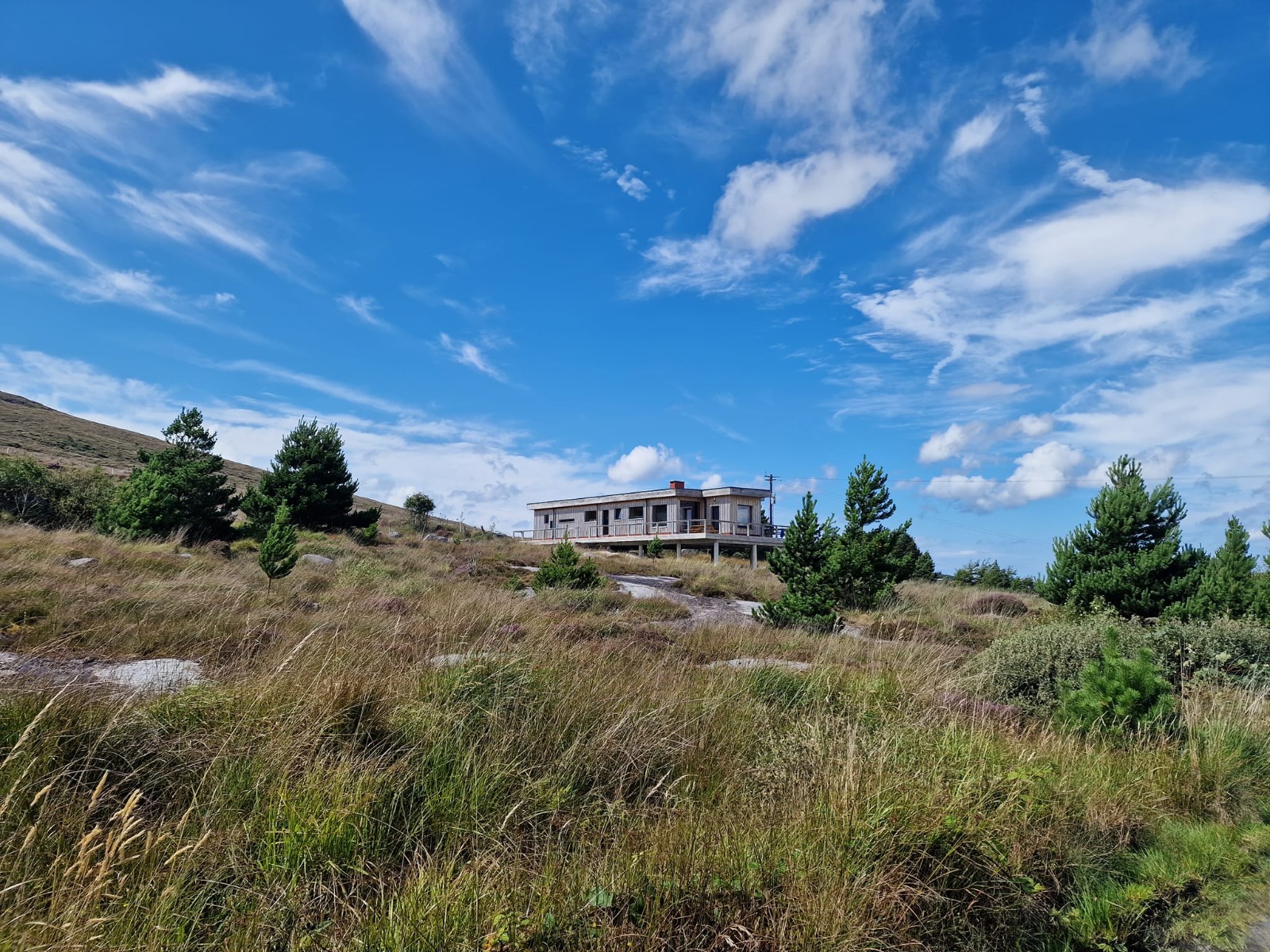*New - The House on Stilts