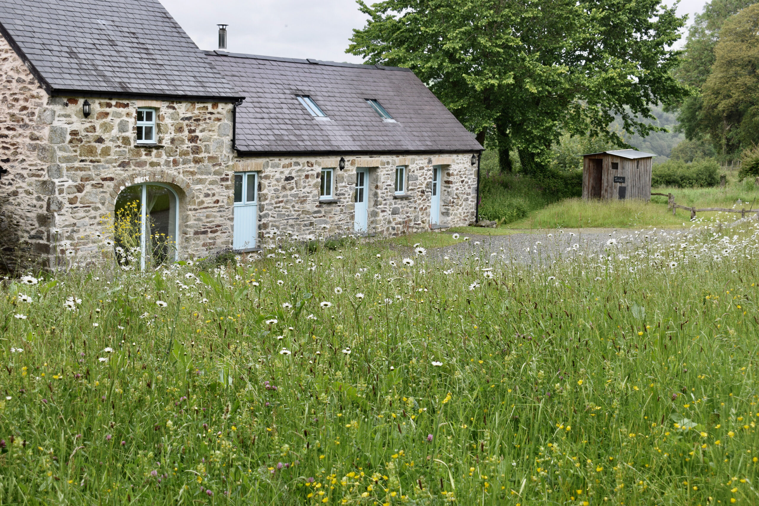*NEW* Nantwen