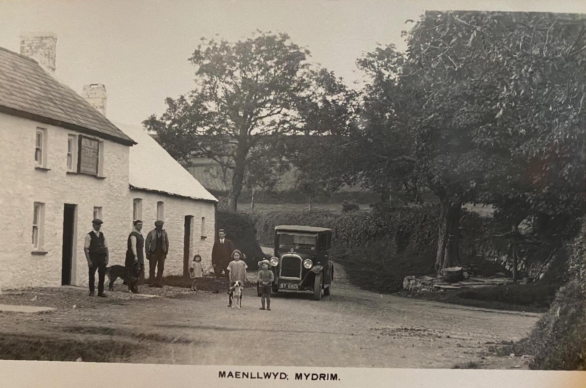 *NEW* Maenllwyd
