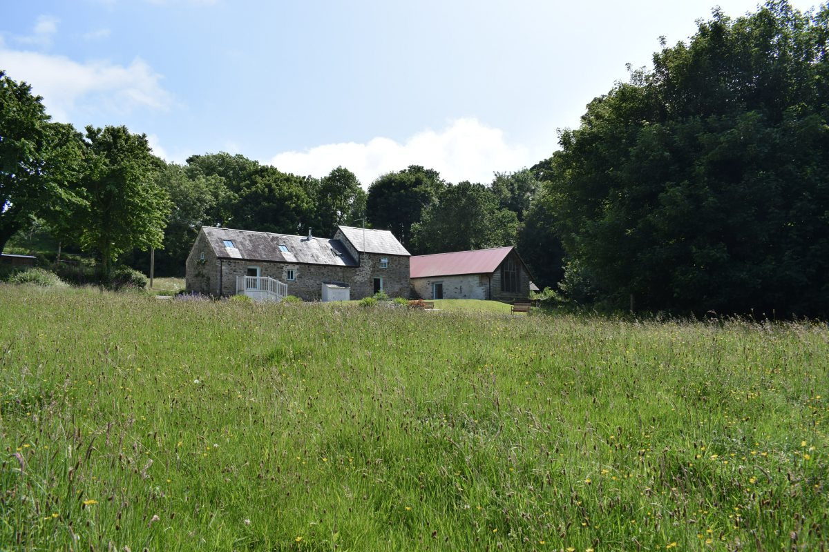 *NEW* Nantwen