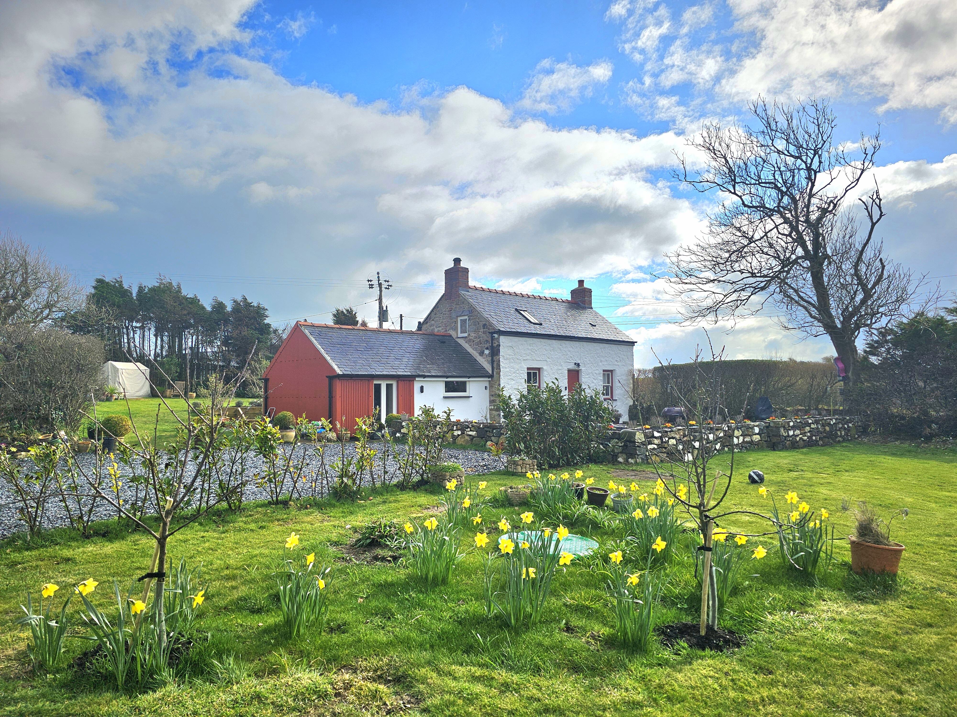 *New* - Bryn Teifi