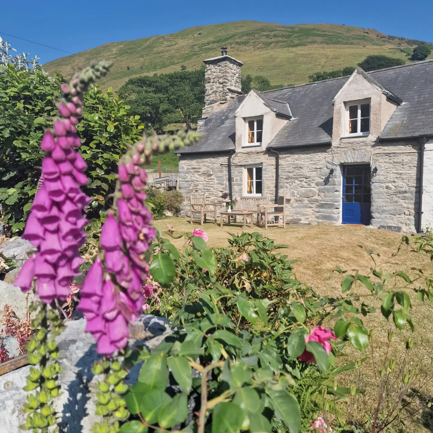 *Newydd / NEW - Glan Cader