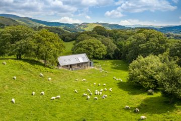 Hafod Dyfi