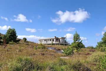*New - The House on Stilts