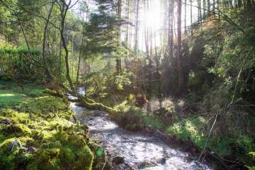 Nant y Bargoed