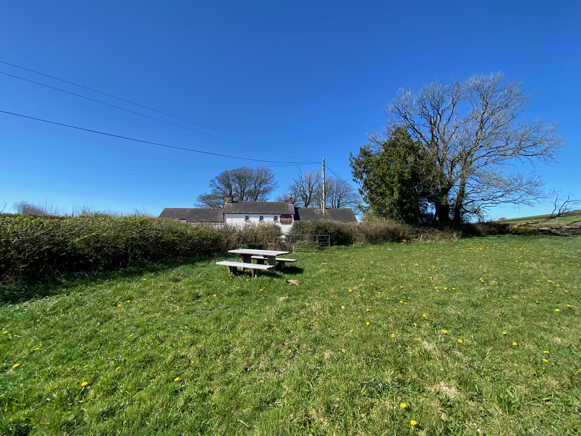 *NEW* Maenllwyd
