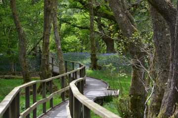 Bwlch Newydd