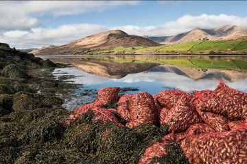 Lough Mask