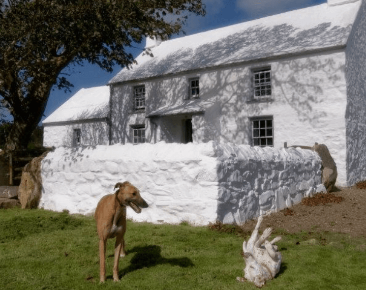 Dog Friendly Under The Thatch Holiday Cottages